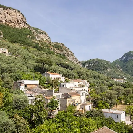 Bed & Breakfast Lux Aurea